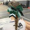 imageDEEKA 12 PCS Softball Cheer Bows 8quot Softball Thread Large Cheer Hair Bows Ponytail Holder Handmade for Teen Girls Sports Cheerleader Royal BlueBlackWhiteHunter Green Glitter BlackWhite