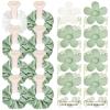 White&Sage Green