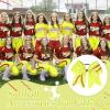 imageDEEKA 12 PCS Softball Cheer Bows with 2 Glitter Stitching Cheerleader Team Bows Elastic Band for Softball Sports Girls Neon YellowRed StitchingNeon YellowRed Stitching