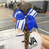 imageDEEKA 8 PCS Football Cheer Bows with Glitter Laces and Stripes Cheerleader Sports Team Bows Elastic Band for Cheerleading Girls MaroonGlitter SilverWhiteRoyal BlueGlitter SilverWhite