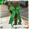 imageDEEKA 12PCS Collegiate Style Cheer Bows with Glitter Chevrons Tail Skinny College Cheerleader Ponytail Holder for Volleyball Softball Girls Hunter GreenBlackWhiteGlitter Green