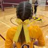 imageDEEKA 12PCS Collegiate Style Cheer Bows with Glitter Chevrons Tail Skinny College Cheerleader Ponytail Holder for Volleyball Softball Girls Hunter GreenBlackWhiteGlitter Gold