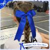 image:imageDEEKA 12PCS Collegiate Style Cheer Bows with Glitter Chevrons Tail Skinny College Cheerleader Ponytail Holder for Volleyball Softball Girls PurpleGoldWhiteGlitter Royal Blue